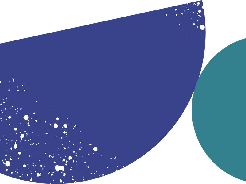 PEPinfo Newsletter Herbst 2025